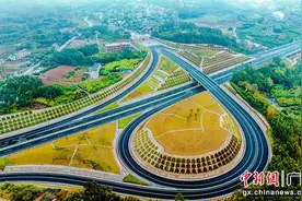 广西梧州至那坡高速公路平南至武宣段通车图片