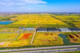 江苏宿迁启动“候鸟回迁”工程，目标：年内拉动返乡就业5万人图片