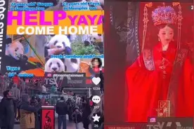 花几千元就能成为全球大新闻？买来的“洋流量”，在糊弄谁图片