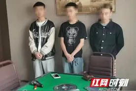怀化移动助力警方重拳“打猫”图片