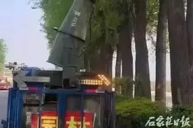 又到一年飞絮时，看石家庄这样治理，还需注意……图片