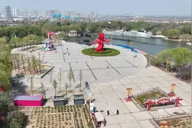 菏泽：早期牡丹次第开放 各大牡丹园开园迎客图片