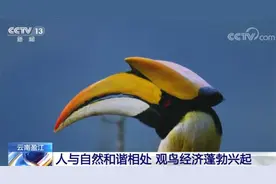 人与自然和谐相处 云南盈江观鸟经济蓬勃兴起图片