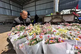 真的！小掌现场捡了！斗南真的能免费捡花！图片