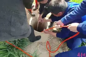 果然视频|老人锄草不慎坠入五米深井 消防员倒悬入井施救图片