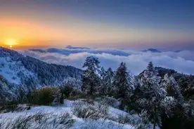 官宣！这些景区都免门票！图片