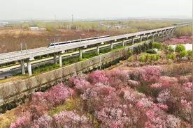 济南地铁1号线运营四周年，从萌芽起步跑到满地繁花图片