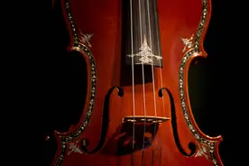 （外代一线）“锇”小提琴惊艳亮相图片