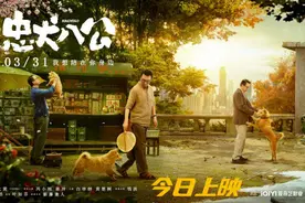 《忠犬八公》感动献映！五大看点揭重磅情感炸弹图片