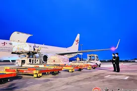 RCEP生效后，越南鲜榴莲首次从国内空港口岸进境图片