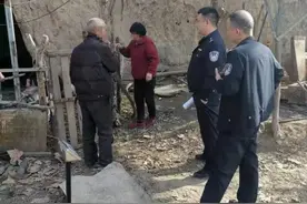 15只羊，回来啦！图片