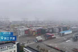 网络大咖说丨名博探访宁波舟山港最大集装箱装卸码头图片