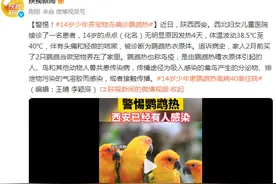 警惕！14岁少年养宠物鸟确诊鹦鹉热图片