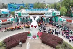 3.5万学生组团到武汉极地研学旅行图片