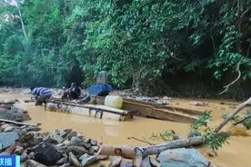 金价“狂飙”！淘金热再起！这一国政府，严厉打击非法采金图片