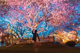 今晚大雨，东湖樱花园取消夜游图片