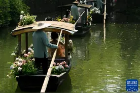 西溪湿地：春光明媚醉游人图片