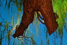 大明湖超然楼的夜景图片