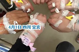 一家六口扫墓后误采毒草食用中毒 提醒：野草不要随意采摘图片