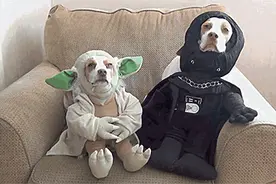 热闻|雨雪狂风冰雹！我国今年以来最大范围强雨雪天气过程开始图片