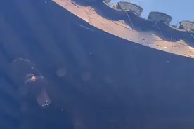 西湖边一小老板紧急报警：密密麻麻全是，忍了一天……图片