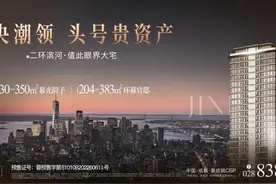 D10之后，新希望成都二环滨水大平层收官倒计时图片