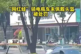 危险！“网红蛙”骑电瓶车上路且不佩戴头盔，被处罚图片