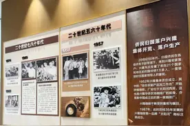 在万宁兴隆，品浓浓咖啡香，感受深深侨乡情图片