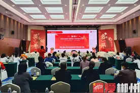 “林丹杯”羽毛球公开赛7月开赛：“羽林”争霸，郴州等您！图片