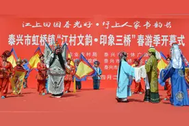 “江上田园春光好，圩上人家乡韵长”，泰兴“江村文韵”春游季拉开帷幕图片