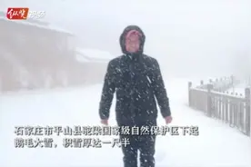 今日直击！石家庄驼梁飘起鹅毛大雪！积雪厚达一尺半图片