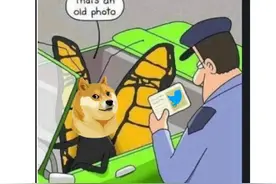 马斯克又任性了！将推特“蓝鸟”换成“狗头”，意欲何为？图片