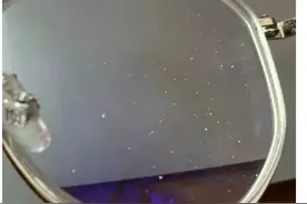 破案了！原来眼镜上的白点不是灰尘，而是它图片