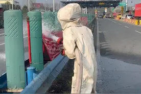 蜜蜂“出逃”蜇人 “蓝朋友”出手相助图片