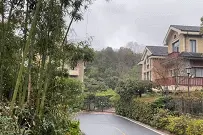 杭州男子在自家别墅发现黑影！凑近一看，浑身起鸡皮疙瘩……图片