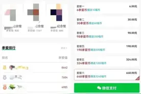 观澜亭丨云祭扫也“打榜”？要让网络祭扫清明清朗图片