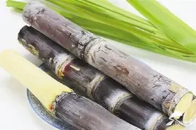 “清明蔗，毒过蛇”！济南疾控提醒：这样的甘蔗千万别吃图片