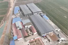 德州天衢新区“鹿茸菇工厂”日产珍稀食用菌30吨图片