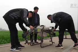 职场在田间：看农业职业经理人咋种地图片