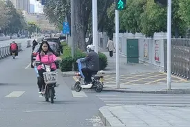 又到杨絮飞舞时图片