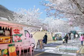 春暖花开正当踏青游玩时 阿朵小镇樱花节游人如织图片