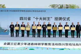 最老约2300岁！四川“十大树王”是它们 ​图片