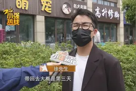 都是阳性！连买两只猫都撑不过三天，买家查询网上点评后发现，不得了！图片