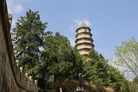 走！向着宝塔山 把延安革命精神代代相传图片