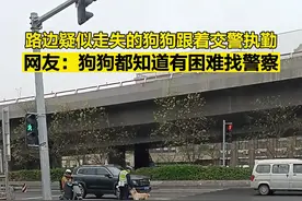 狗狗都知道有困难找警察图片