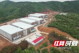 祁阳：“楼房养猪”助推养殖业转型升级图片