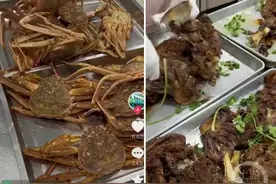 幼儿园伙食“天花板”！16元吃鱼虾蟹图片