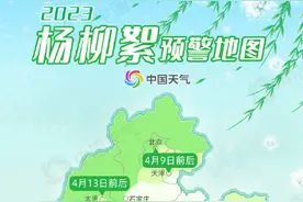 又到一年飞絮时！2023杨柳絮预警地图 来了 这些地方将进入高发期图片
