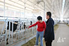 如何正确处理牛粪污？平远这支工作队将科技专家请进牛舍图片