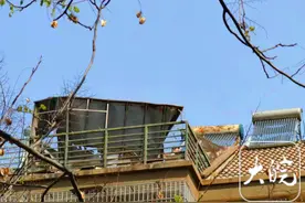 市民反映合肥这个小区有人私自建房养鸽子 城管回应：已拆除图片